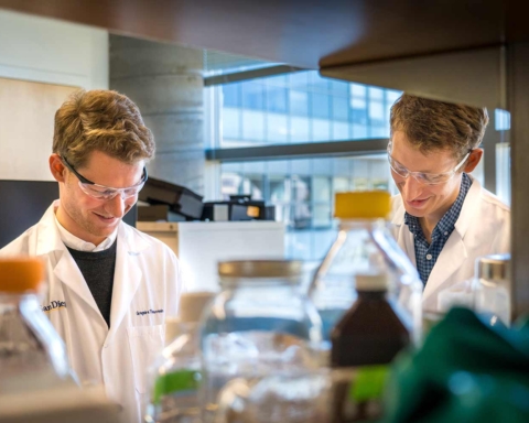The Benefits of Fieldwork in a Biology Degree Program